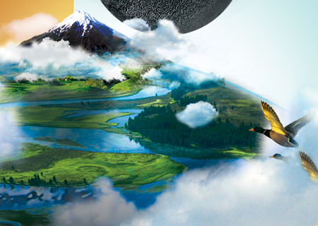 专业版软件工具的网站压力测试